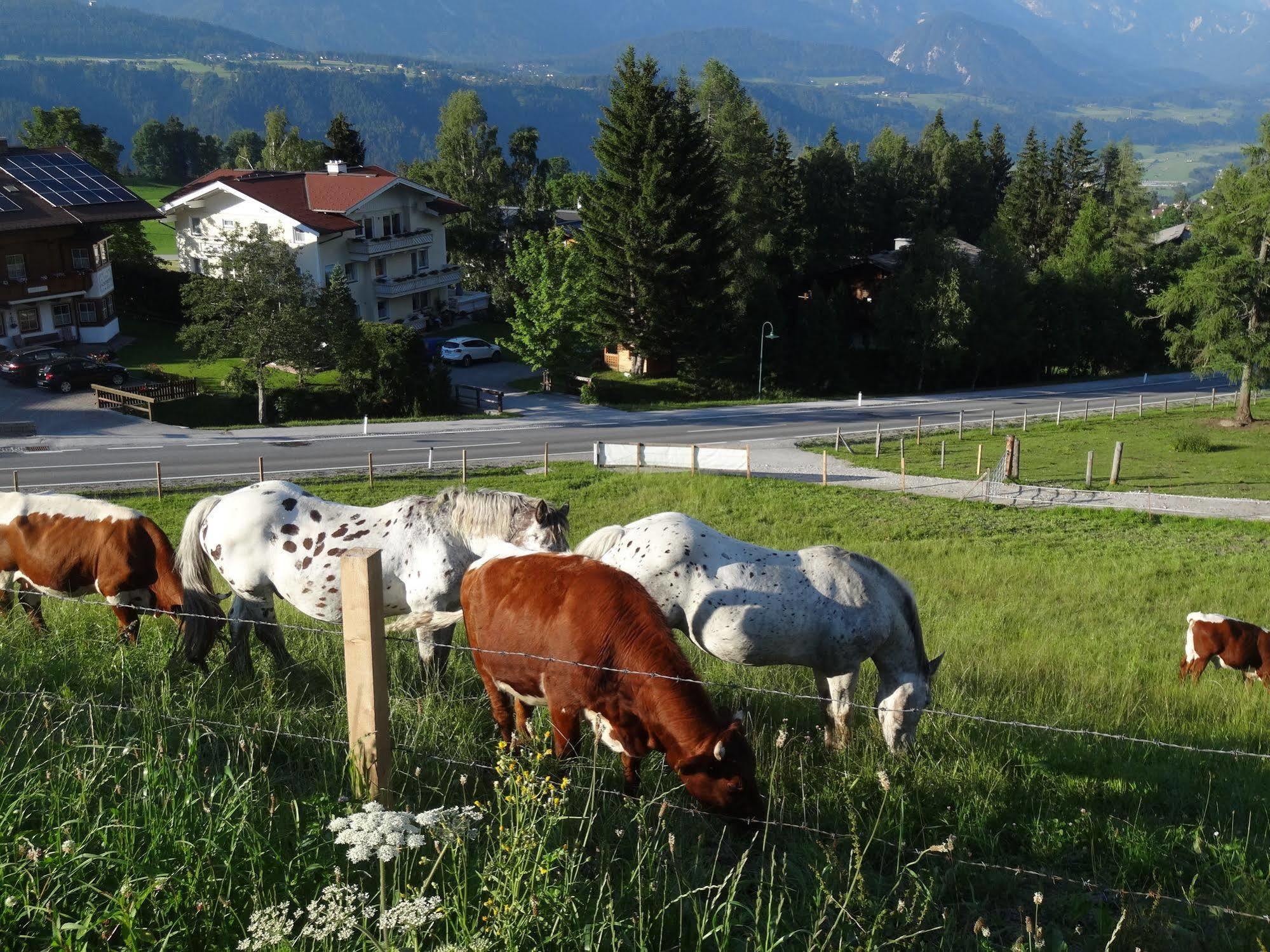 Haus Alpina Ski In & Ski Out Schladming Exterior photo